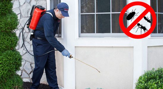 Akseki Hamam Böceği İlaçlama böcek ilaçlama ve haşere kontrolü — ilaclama-tr.com